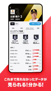 NPB+ screenshot