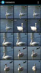 OM Image Share 3