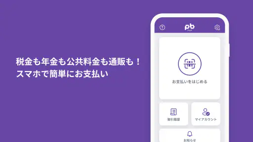 PayB 1