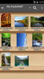Perfect Viewer 2