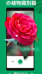 PictureThis:撮ったら、判る-1秒植物図鑑 1