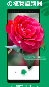 PictureThis：撮ったら、判る-1秒植物図鑑 screenshot