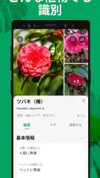 PictureThis:撮ったら、判る-1秒植物図鑑 2