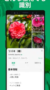 PictureThis：撮ったら、判る-1秒植物図鑑 screenshot