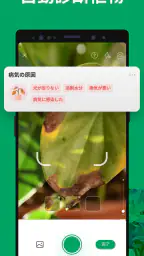 PictureThis:撮ったら、判る-1秒植物図鑑 4