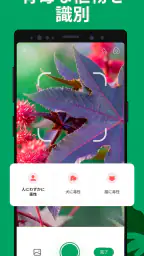 PictureThis:撮ったら、判る-1秒植物図鑑 6
