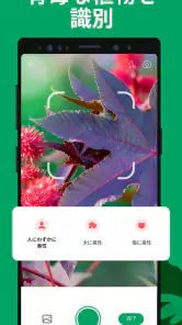 PictureThis：撮ったら、判る-1秒植物図鑑 screenshot