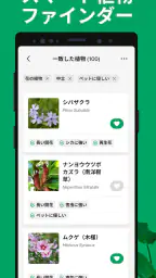 PictureThis:撮ったら、判る-1秒植物図鑑 8