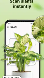 Plantid: 植物識別AI 1