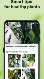 Plantid: 植物識別AI 5