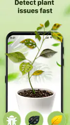 Plantid: 植物識別AI 8
