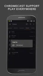 Pulsar 音楽プレーヤー 7