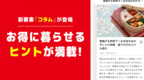 Shufoo!シュフー｜スーパーのチラシ&クーポンで節約 screenshot
