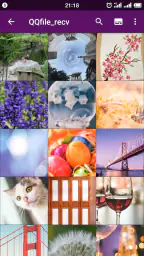 Smart Gallery Pro - Quick Pic 3