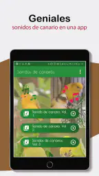Sonidos de Canarios. Cantos. 6