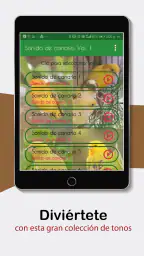 Sonidos de Canarios. Cantos. 7