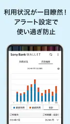 Sony Bank WALLET 3