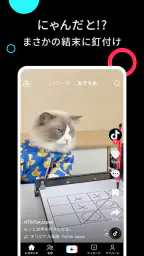 TikTok - 動画、LIVE配信、フィルター、動画編集 3