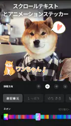 VideoShow動画エディタ、動画メーカー、写真エディタ 4