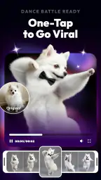 vivago.ai-AI Video&Effects 2
