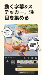 VivaVideo - 動画編集アプリ&動画作成&動画加工 3