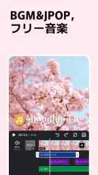 VivaVideo - 動画編集アプリ&動画作成&動画加工 8