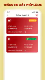 VNeTraffic 7