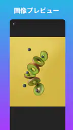 WEB画像検索・ダウンローダ 6