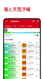 Windfinder:風、天気、潮汐、波予報 3