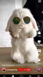 YouTube 2