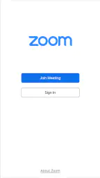Zoom Workplace for Chromebook 1