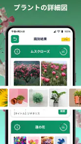 しょくぶつ図鑑 - きのこ図鑑 - 植物認識アプリ screenshot