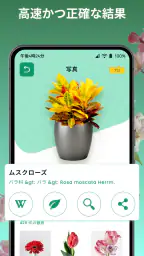 しょくぶつ図鑑 - きのこ図鑑 - 植物認識アプリ 5