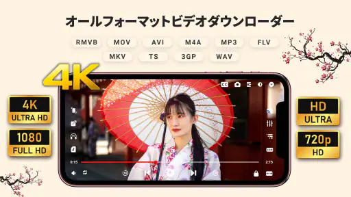 すべての形式に対応するHDビデオダウンローダー 7
