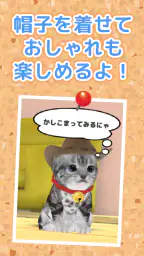 ねこ育成ゲーム - 子猫をのんびり育てる癒しの猫育成ゲーム 4