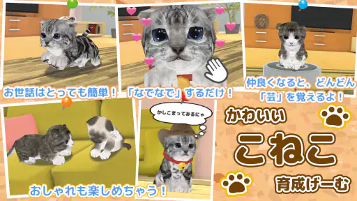 ねこ育成ゲーム - 子猫をのんびり育てる癒しの猫育成ゲーム 5
