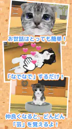 ねこ育成ゲーム - 子猫をのんびり育てる癒しの猫育成ゲーム 7