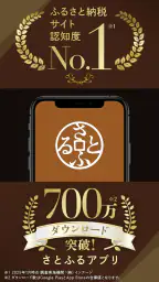 ふるさと納税 さとふる 3