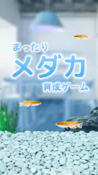 まったりメダカ育成ゲーム 1