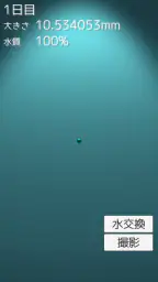 まりも育成ゲーム 1