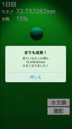 まりも育成ゲーム 3