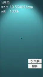 まりも育成ゲーム 7