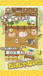 ようとん場MIX 2