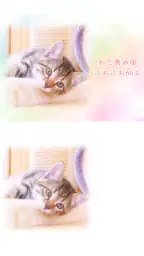 わたあめカメラ 2