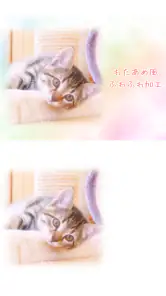 わたあめカメラ screenshot
