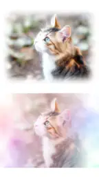 わたあめカメラ 3