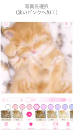 わたあめカメラ 4