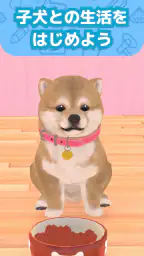 わんこと私 - 子犬のペット育成ゲーム 1