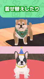 わんこと私 - 子犬のペット育成ゲーム 3