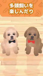 わんこと私 - 子犬のペット育成ゲーム 4
